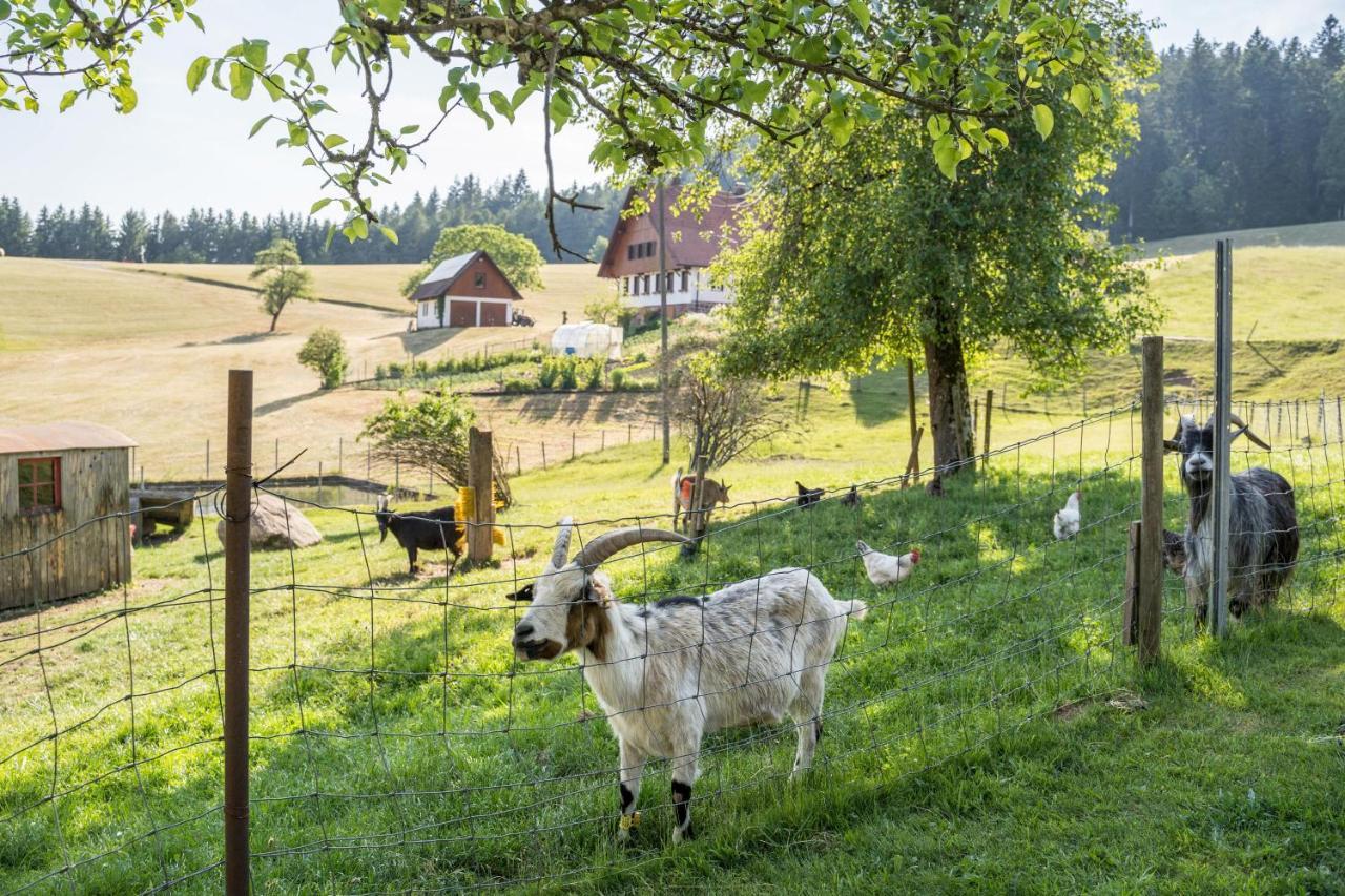 Klausenhansenhof Wolfach Zewnętrze zdjęcie